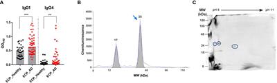 The extracellular serine protease from Staphylococcus epidermidis elicits a type 2-biased immune response in atopic dermatitis patients